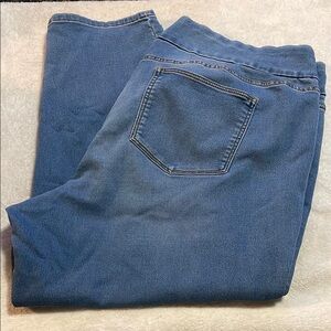 Dress barn Classic Blue Denim Jeans